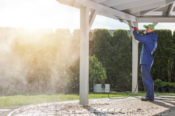 Best Patio and Deck Pressure Washing  in Loretto, TN